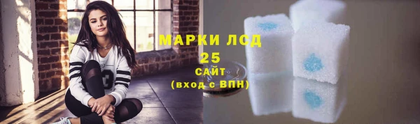 соль ск Приозерск