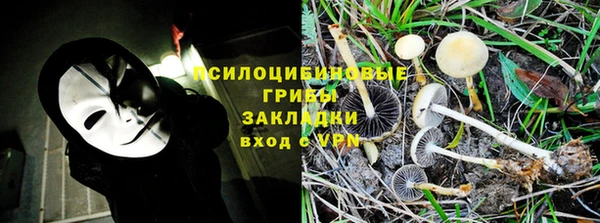 Альфа ПВП Алексин