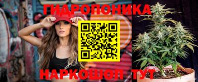 метадон Тверь