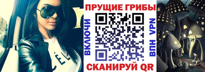 Псилоцибиновые грибы Cubensis  даркнет сайт  кракен ТОР  Самара 