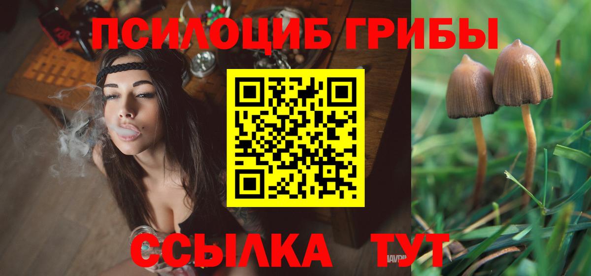 Самара  Псилоцибиновые грибы Psilocybine cubensis  Вход с VPN 